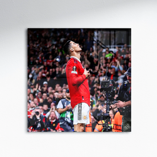 CUSTOMIZE METAL PRINTS WITH YOUR OWN IMAGES