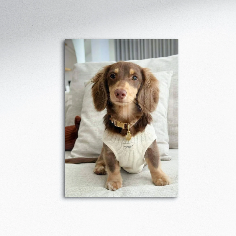 A pet portrait printed on metal